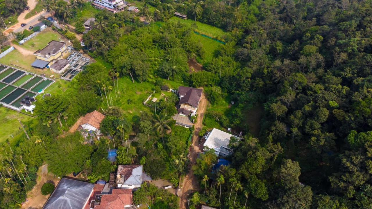 Vythiri Villas Wayanad Exteriér fotografie
