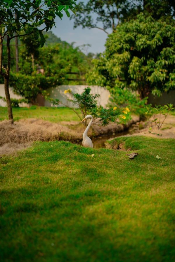 Vythiri Villas Wayanad Exteriér fotografie